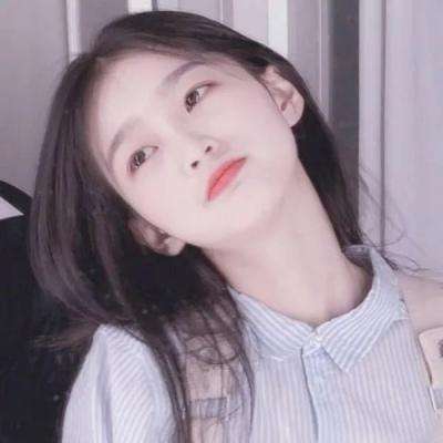 圣域传奇破解版下载